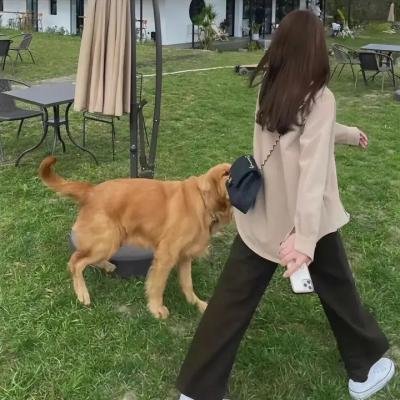 博物馆